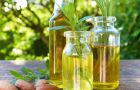 Advantages of Almond Oil for Hair And It's Uses