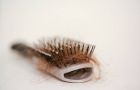Is It Possible To Reverse Hair Loss By Eating A Plant-Based Diet?
