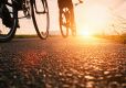 The Importance Of World Bicycle Day