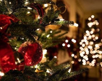 Elevate Your Christmas Decor With Hoselink Solar Lights