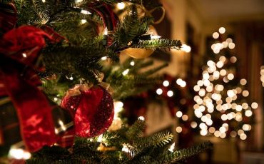 Elevate Your Christmas Decor With Hoselink Solar Lights